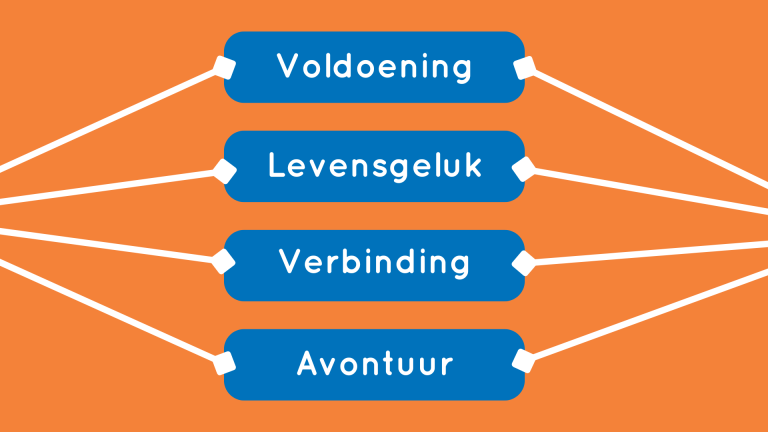 over ons: kernwaarden